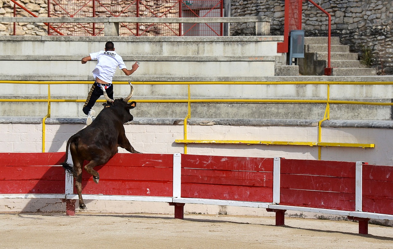 這一勝利可