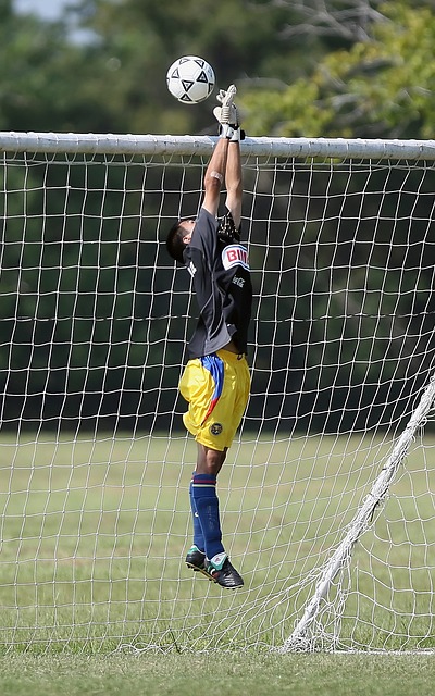 的竞争力 的竞争力