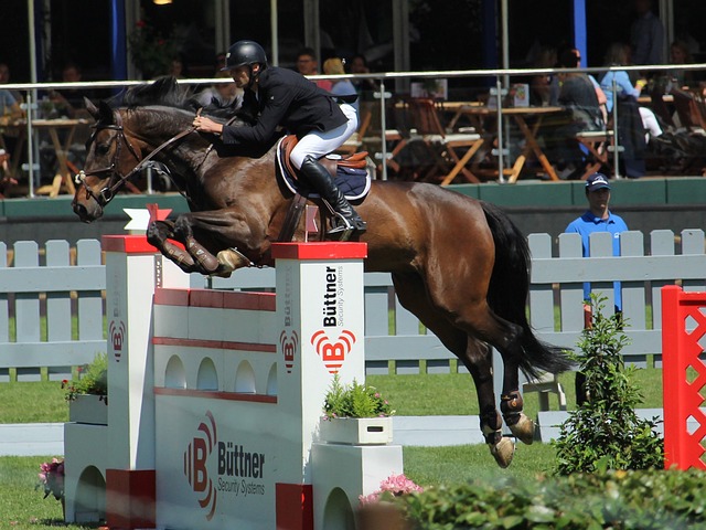 以其独特的 以其独特的