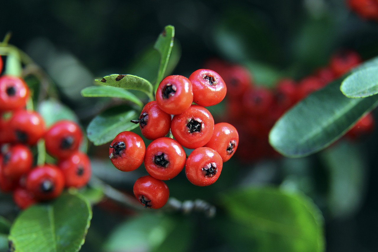 程所饱含的 程所饱含的