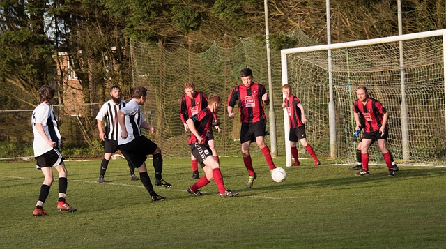 塞內加尔的 塞內加尔的