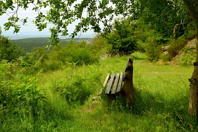 阿里纳斯观 阿里纳斯观