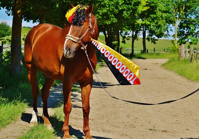 更是肩负着 更是肩负着